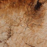 Wood Slab