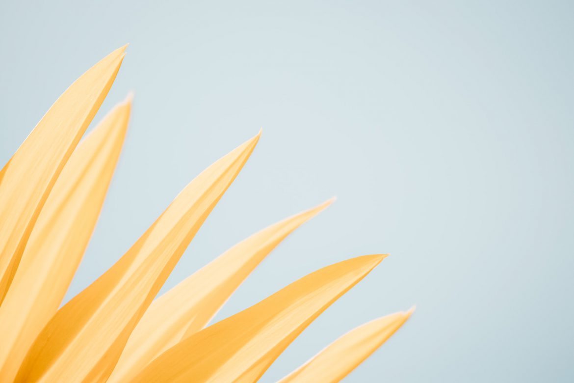 martin-adams-MpTdvXlAsVE-unsplash