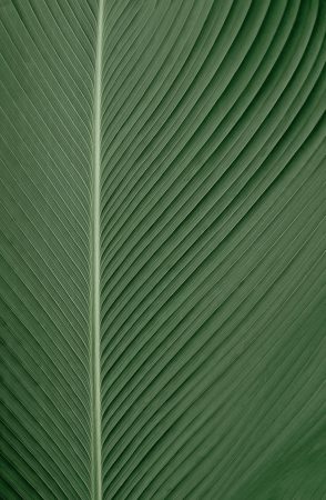 omid-armin-FnZKE3owM1o-unsplash