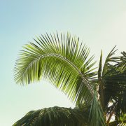 Alone In Paradise