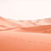 Follow The Footsteps