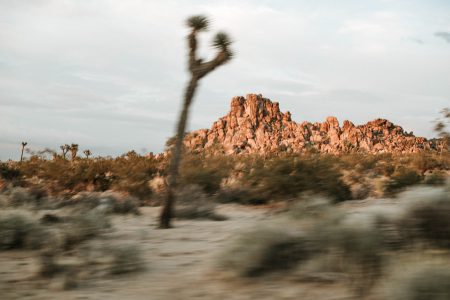 Alone In Paradise