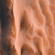 Lonely Desert