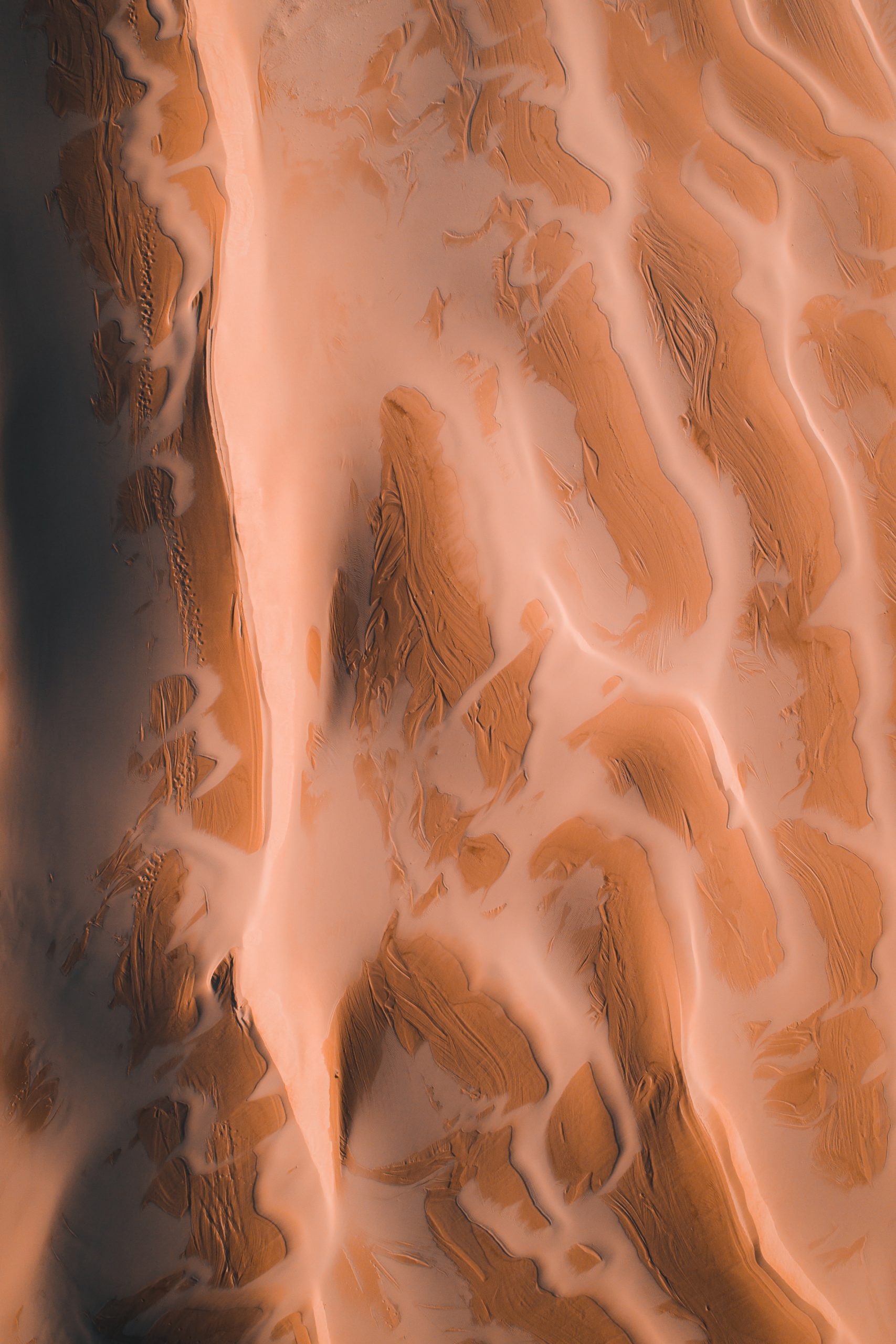 Lonely Desert