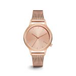 Luxury Watch