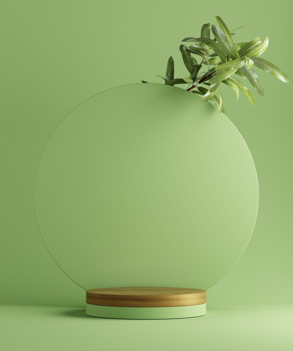 3D illustration geometric pedestal for product presentation with leaves. Abstract background. Mockup.