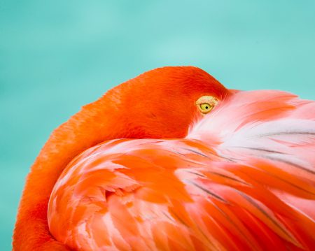 lex-melony-jT2BQpDofVo-unsplash