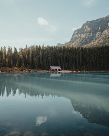 dave-herring-6nnKjJ-fAIc-unsplash